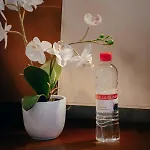 In Olimp Апартаменти Любляна