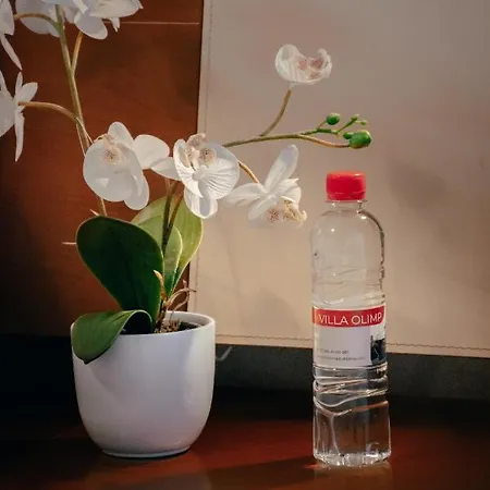 In Olimp דירה לובליאנה