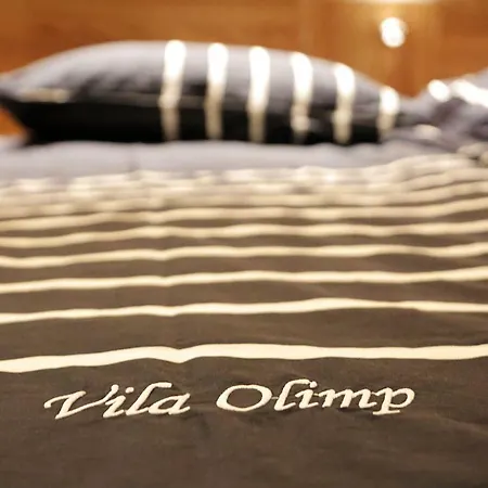 In Olimp アパート リュブリャナ