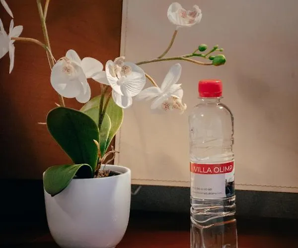 In Olimp דירה לובליאנה